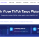 Best TikTok Downloader untuk Menyimpan Video dari Browser