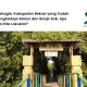 mangrove-di-pantai-bahagia,-kabupaten-bekasi:-upaya-menghadapi-banjir-rob-dan-abrasi