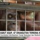 VIDEO: Terpapar Kabut Asap, 47 Orangutan Terkena ISPA