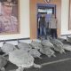Polda Bali Gagalkan Penyelundupan 22 Penyu Hijau di Serangan