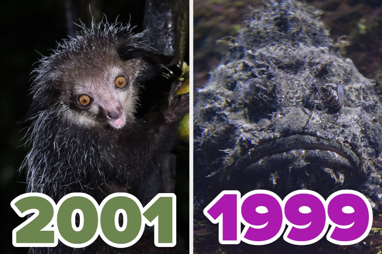 we’ll-reveal-which-hideous-animal-you-are-based-on-the-year-you-were-born