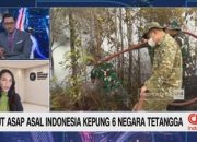 video:-kabut-asap-asal-indonesia-kepung-6-negara-tetangga