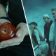 Only Someone Who’s Seen “Twilight” At Least 3 Times Will Pass This Test