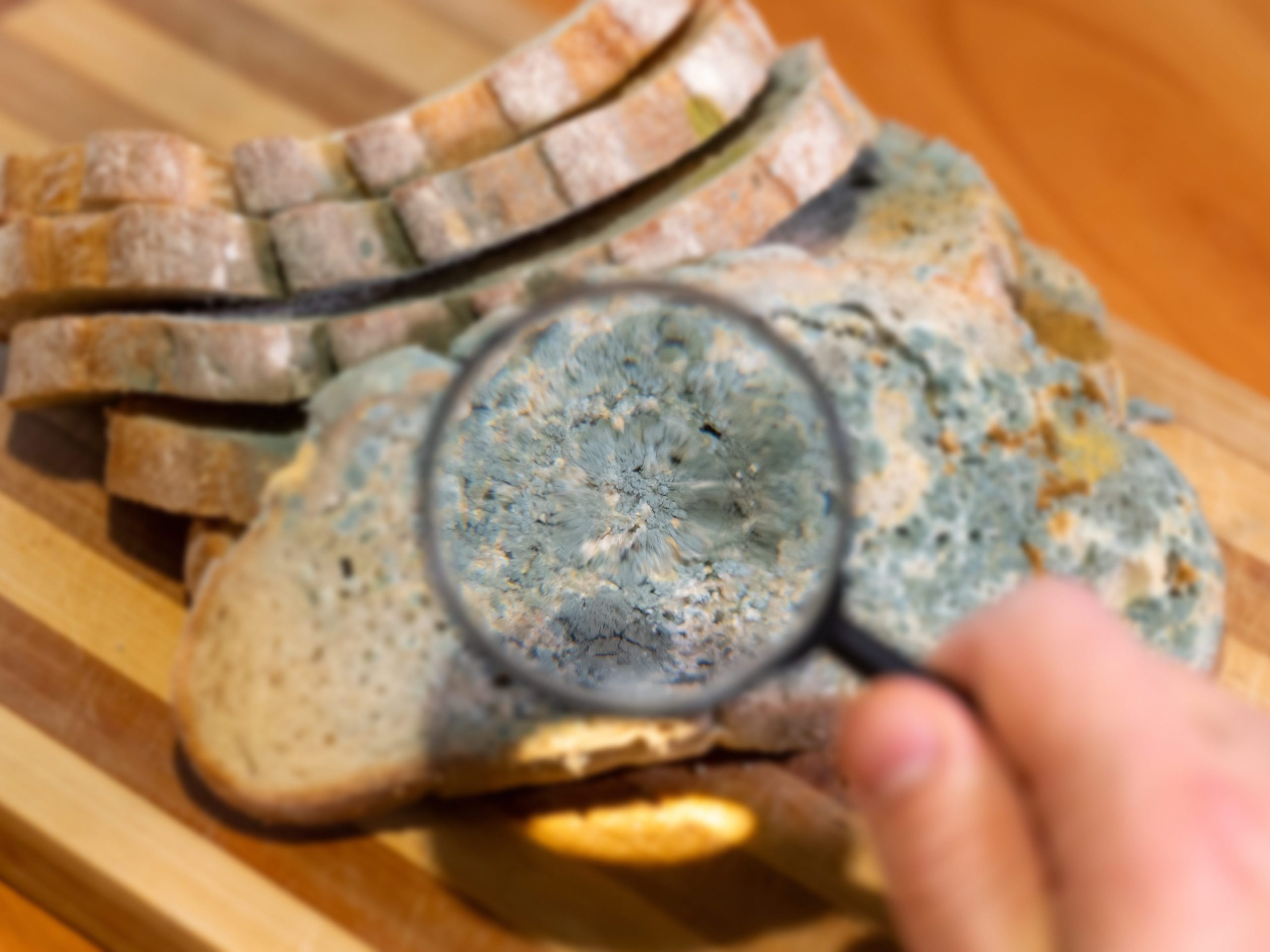 ai-worms-and-‘digital-slime-mold’:-welcome-to-the-next-ai-nightmare-fuel