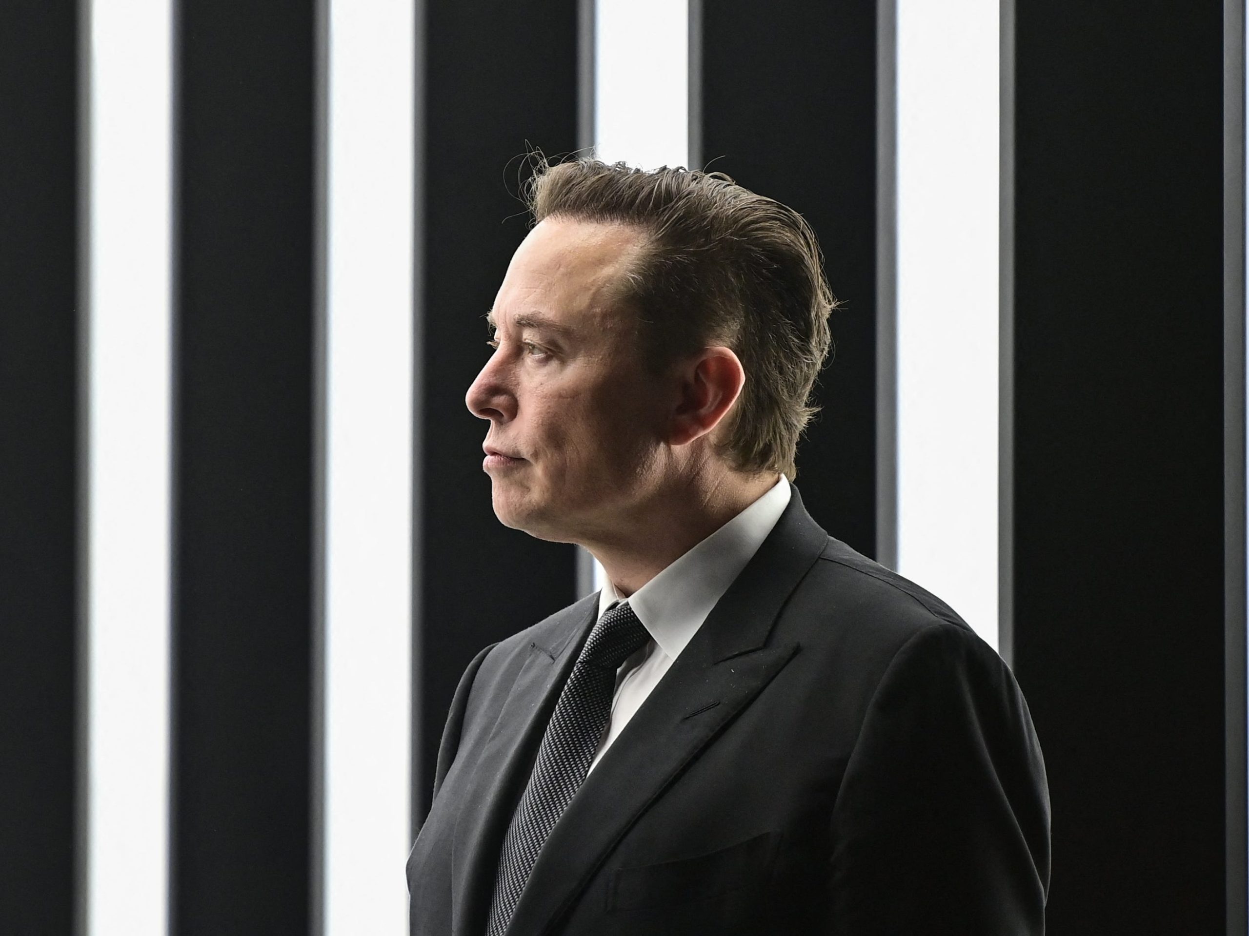 elon-musk-takes-a-dig-at-waymo’s-pet-collision-history-and-says-tesla-robotaxi-has-a-solution