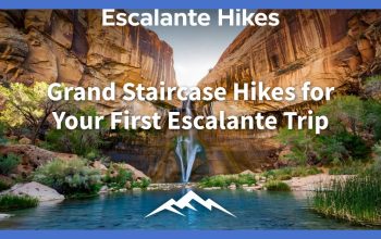 Grand Staircase Hikes for Your First Escalante Trip