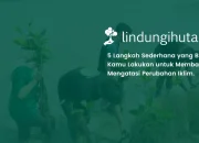5-cara-mengatasi-perubahan-iklim-yang-bisa-langsung-anda-lakukan