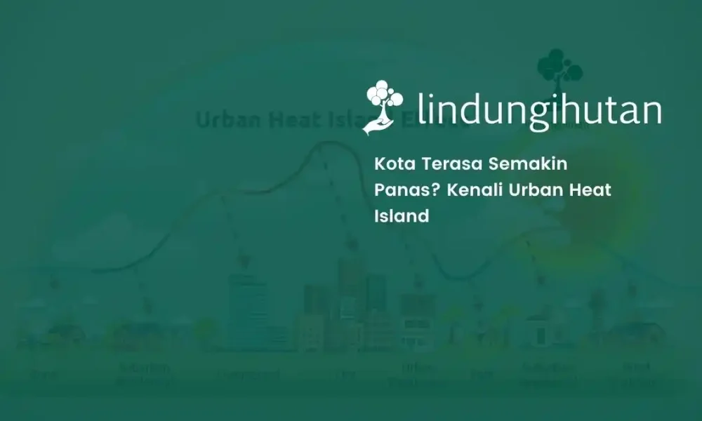 urban-heat-island:-mengapa-kota-terasa-semakin-panas?