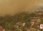 video:-karhutla-‘menggila’,-terbakar-atau-dibakar