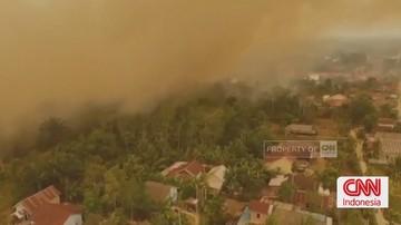 video:-karhutla-‘menggila’,-terbakar-atau-dibakar