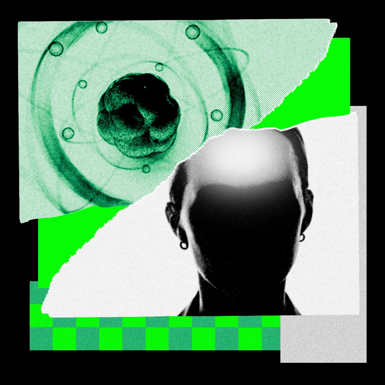 ai-came-for-math.-now-it’s-chasing-the-rest-of-science