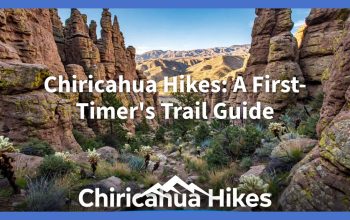 Chiricahua Hikes: A First-Timer’s Trail Guide