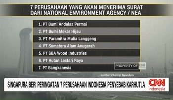 VIDEO: Singapura Beri Peringatan 7 Perusahaan Peyebab Karhutla