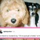 29-hilarious-posts-from-couples-this-week-that-made-me-laugh-so-hard-i-almost-spit-out-my-coffee