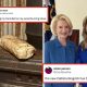 literally-just-35-of-the-funniest-tweets-i’ve-seen-all-week
