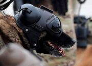 what-is-warhound,-palmer-luckey’s-war-dog-startup-that-just-emerged-from-stealth?