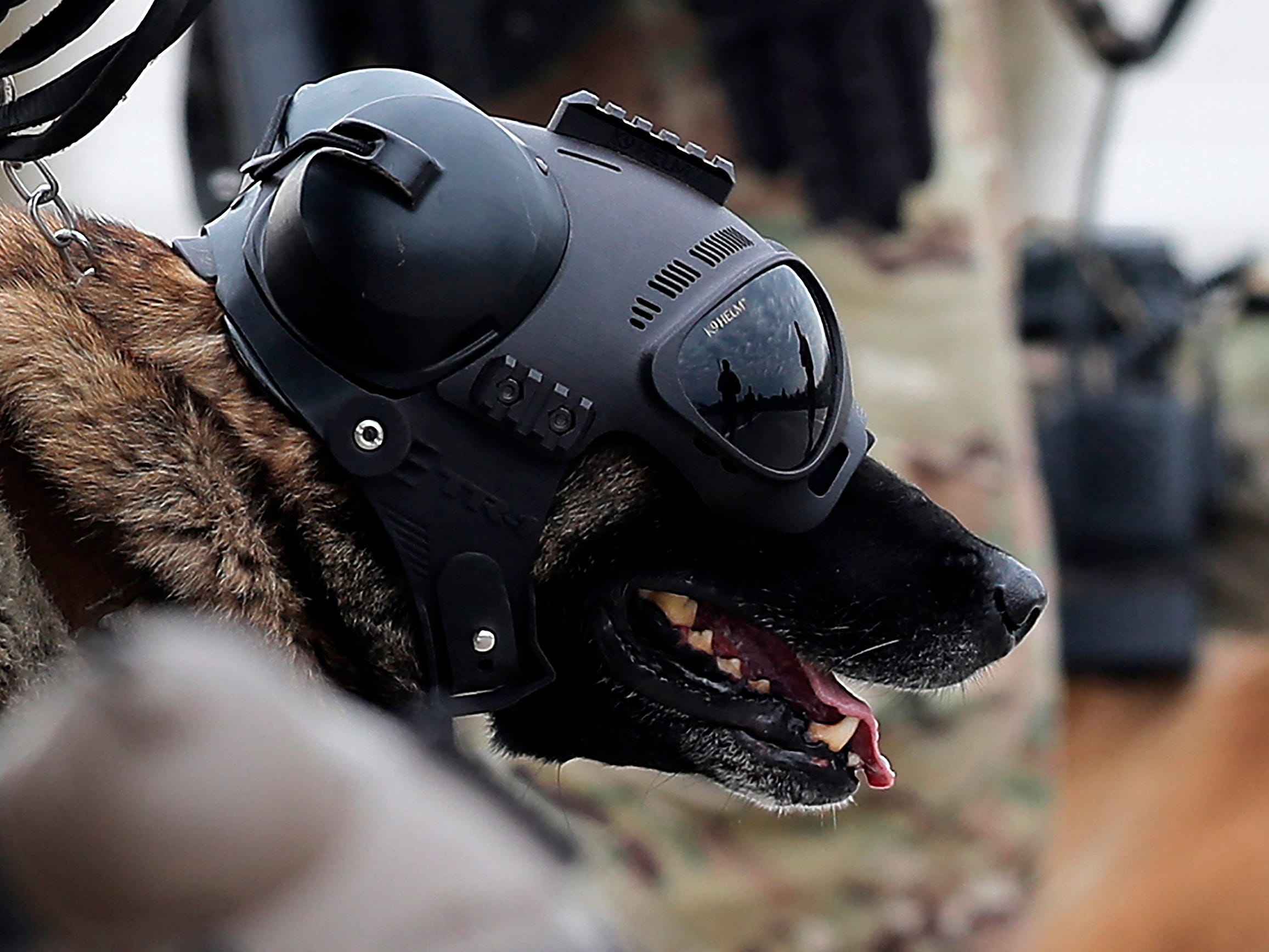 what-is-warhound,-palmer-luckey’s-war-dog-startup-that-just-emerged-from-stealth?