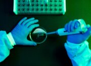what-to-know-about-shamonda-virus-following-the-first-reported-human-infection