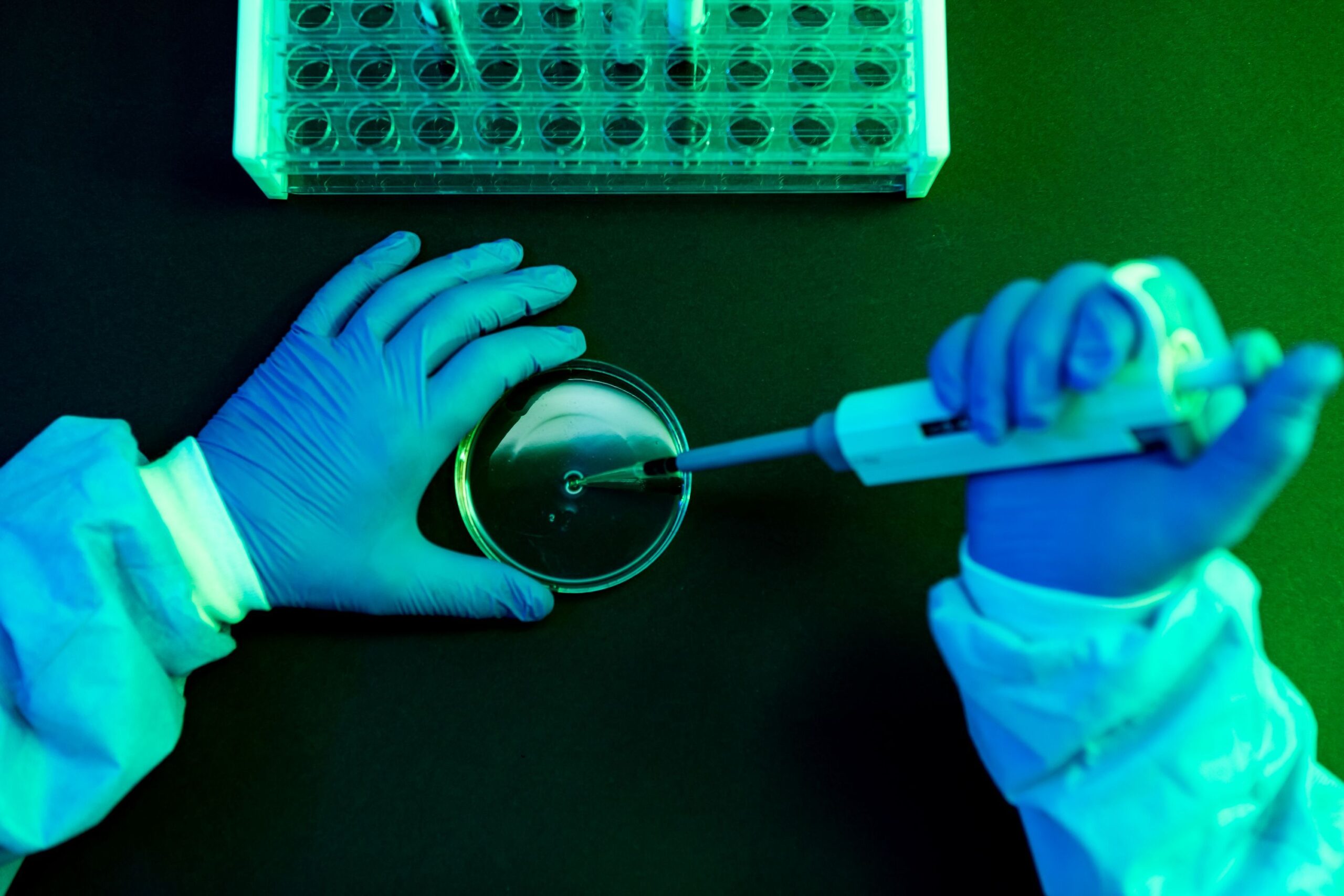 what-to-know-about-shamonda-virus-following-the-first-reported-human-infection