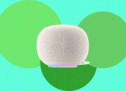 the-google-home-speaker-has-been-secretly-eating-my-wi-fi-data