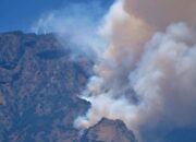 779-hektare-hutan-di-gunung-sumbing-hangus-terbakar,-api-belum-padam