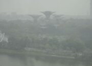 singapura-surati-10-perusahaan-ri-soal-kebakaran-hutan,-ini-daftarnya