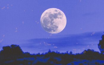 October Full Moon 2026: See the Hunters Moon