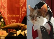 Which Hogwarts House Would Your Pet Be In?