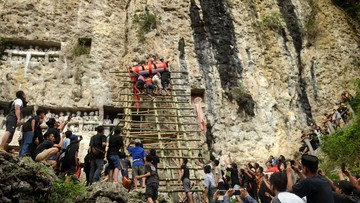karhutla-toraja-utara,-ratusan-peti-jenazah-makam-tradisional-terbakar