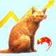 mistral-says-its-ai-model-‘le-chonk’-has-leapfrogged-china-in-the-open-weight-race