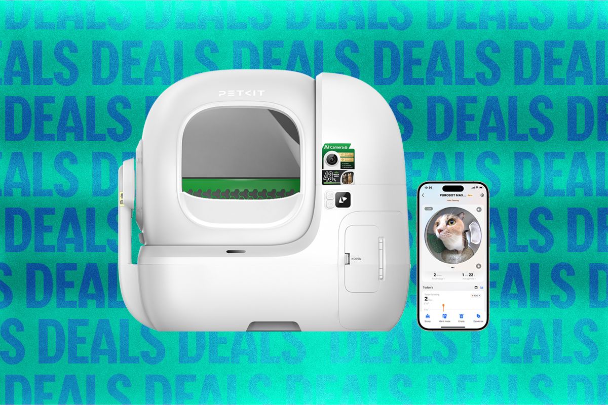 petkit-automatic-cat-litter-box-sale-(2026)